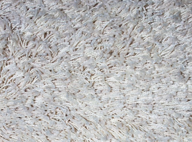 Freshly Cleaned Carpet