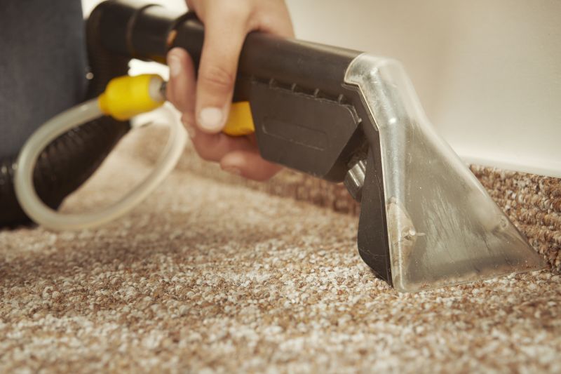 Carpet Stain Removal Process