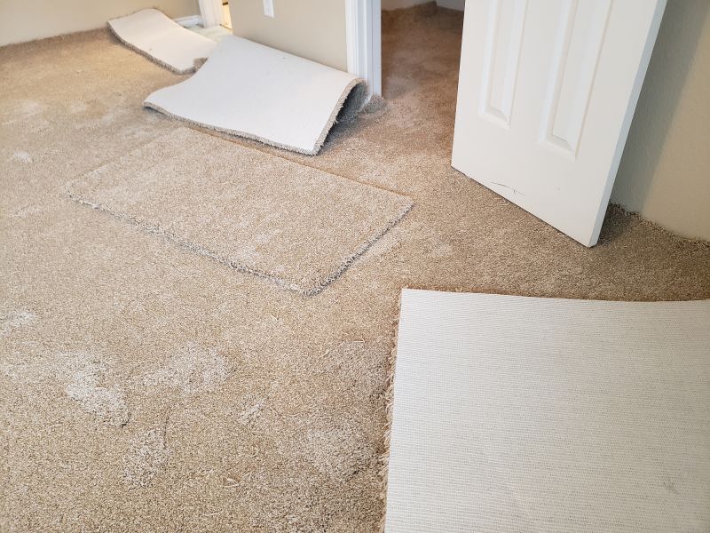 Residential Carpet Replacement